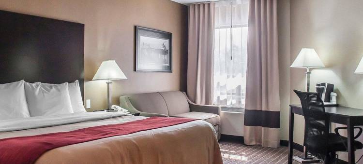 舒适酒店(Comfort Inn)图片