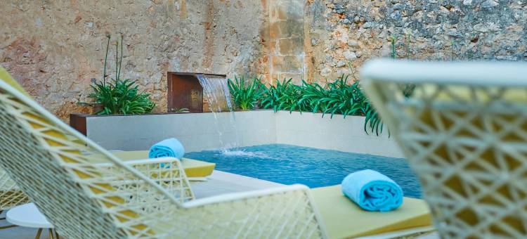 克鲁新小宫殿艺术 Spa 酒店(Sa Creu Nova Petit Palais Art & Spa)图片