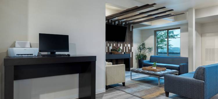 Soka套房达拉斯 - 拉斯科林纳斯(Soka Suites Dallas - Las Colinas)图片