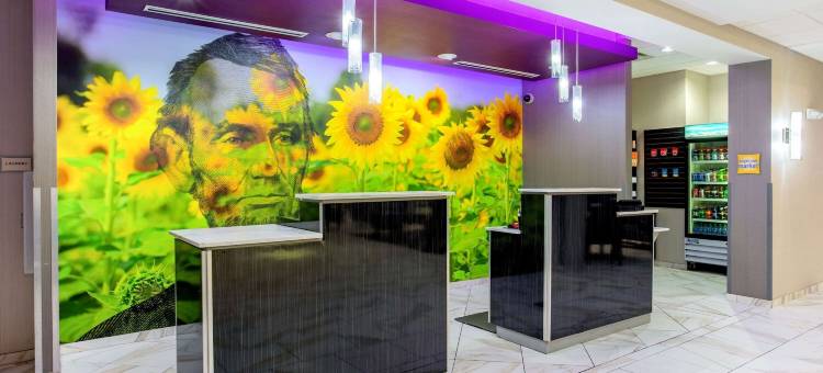 斯普林菲尔德拉昆塔温德姆套房酒店(La Quinta Inn & Suites by Wyndham Springfield IL)图片