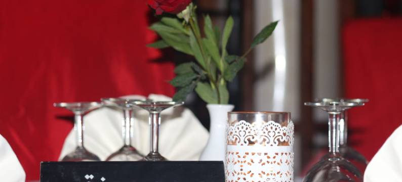 萨拉伊杰尔巴酒店(Hotel Djerba Saray)图片