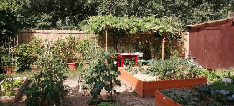 奥西住宿加早餐旅馆(Villa Oasi)图片