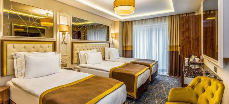 贝多芬交响乐酒店(Beethoven Senfoni Hotel)图片