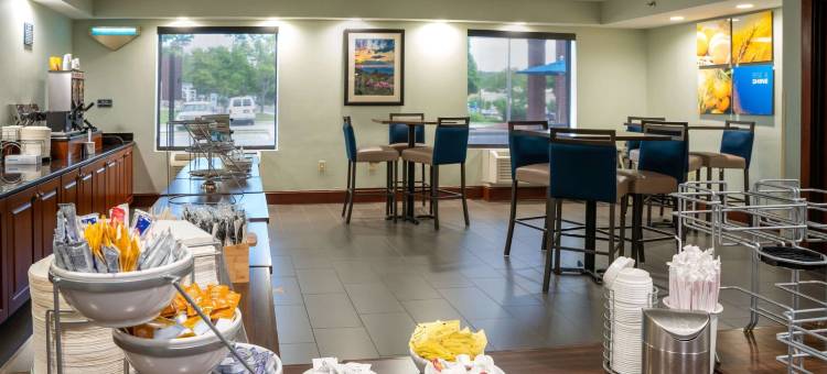 阿克伦吉尔克里斯特路伊克诺拉奇旅馆(Comfort Suites Outlet Center)图片