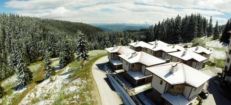 隐匿森林别墅酒店(Forest Nook Villas)图片