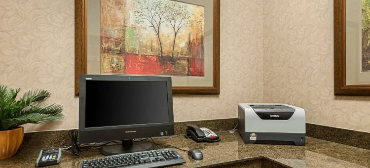 萨尔弗 - 查尔斯湖舒适套房酒店(Comfort Suites Sulphur-Lake Charles)图片