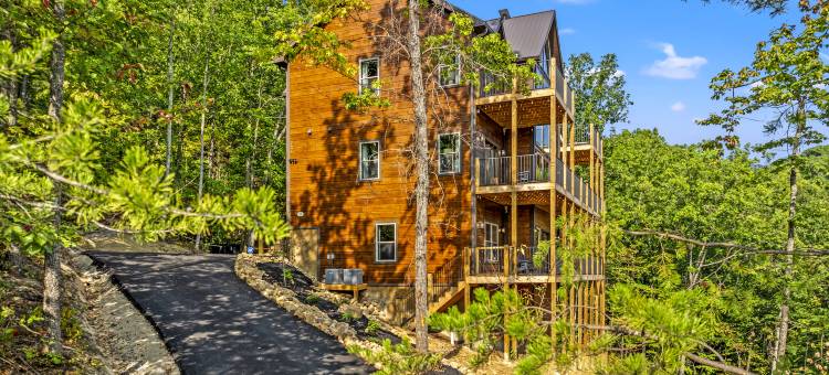 Endless Blue Skies图片