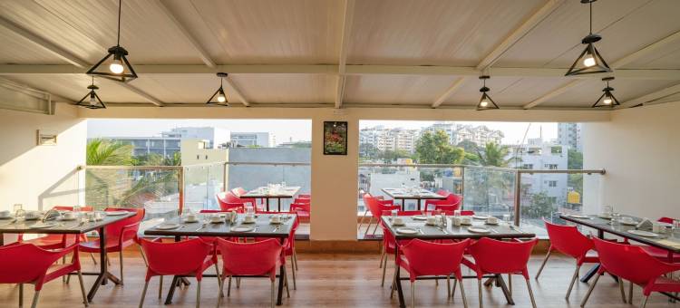 Treebo精英7号(Treebo Elite 7)图片