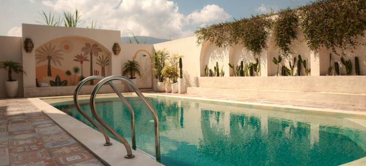 Backyard Villa图片