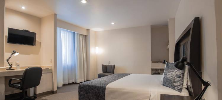 图拉皇家贝斯特韦斯特酒店(Best Western Real Tula Express)图片