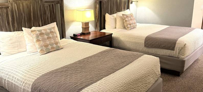 山景旅舍(Mountain View Lodge)图片