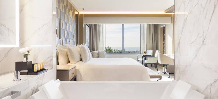 大使皇家休闲酒店(El Embajador, a Royal Hideaway Hotel)图片