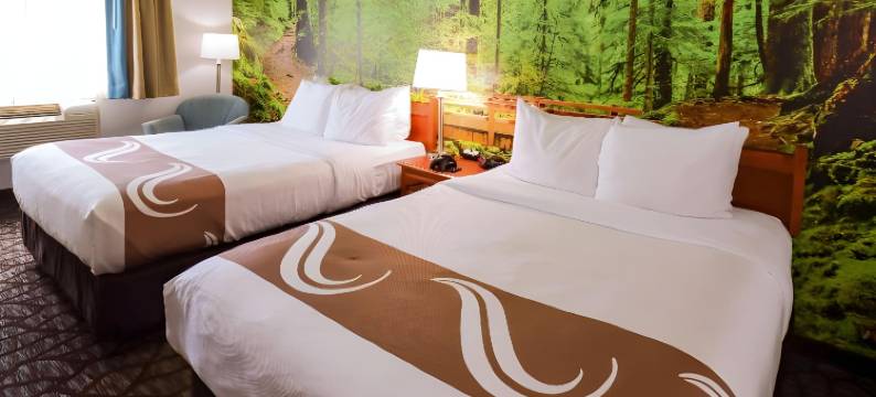 奥林匹克国家公园-西奎姆品质酒店及套房(Quality Inn & Suites Sequim at Olympic National Park)图片