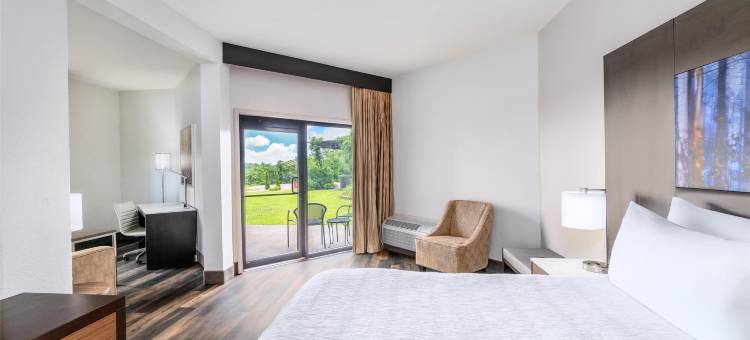 Aiden by Best Western @ Warm Springs Hotel and Event Center图片