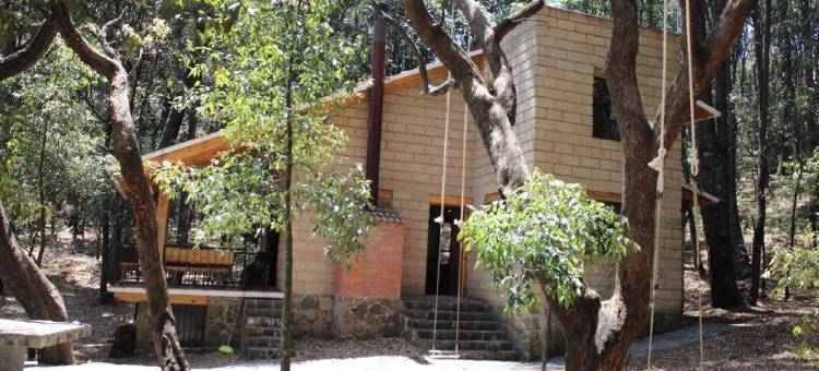 Cabin immersed in 1 hectare of forest. Maximum Internet power (Starlink)图片