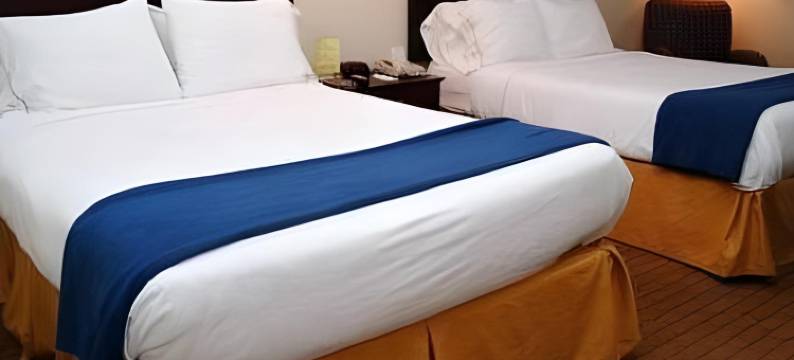 坦帕机场智选假日酒店(Holiday Inn Express & Suites TAMPA AIRPORT by IHG)图片