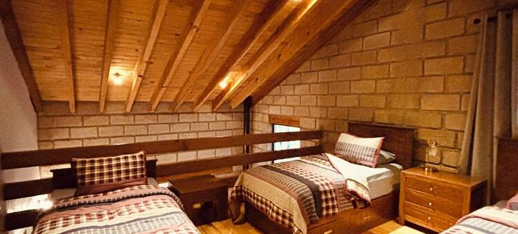 Cabin immersed in 1 hectare of forest. Maximum Internet power (Starlink)图片