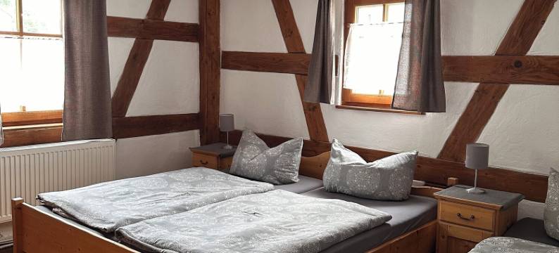 希尔多夫旅馆(Altstadtpension Zirndorf)图片