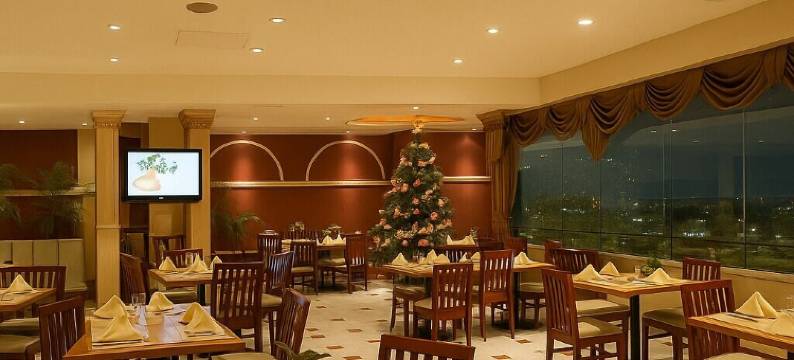 皇冠嘉逸坦皮科酒店(Grand Royal Tampico)图片