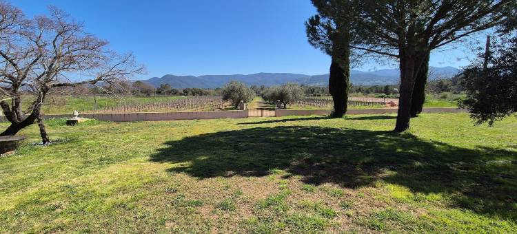 Villa in Le Luc with Pool & Vineyard Views图片