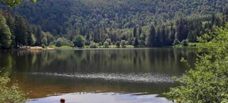 Apartment in Darney with Meadow Views图片