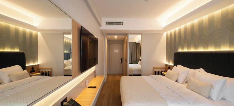 伊兹密尔阿尔维斯酒店(ALVES HOTEL IZMIR)图片