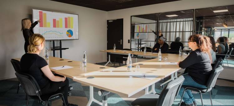 Greet 布雷斯特机场酒店(Greet Hotel Brest Aéroport)图片