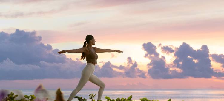 七梦普拉玛体验(Seven Dreams A Pramana Experience)图片