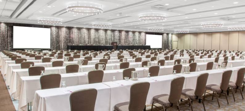 芝加哥奥黑尔皇冠假日酒店与会议中心(Crowne Plaza CHICAGO OHARE HOTEL & CONF CTR by IHG)图片