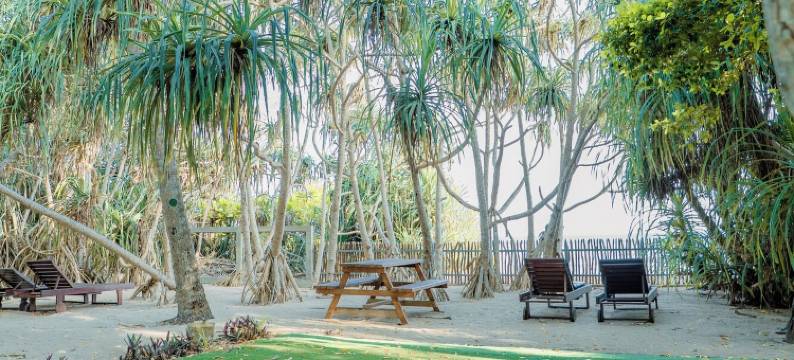 海浪海滩木屋(The Waves Beach Chalets)图片