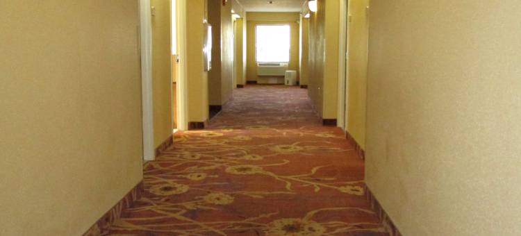 橡树庄园贝斯特韦斯特酒店(Best Western Oak Manor)图片