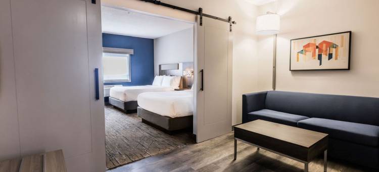 卡尔加里南智选假日酒店(Holiday Inn Express & Suites Calgary South-Macleod Trail S)图片