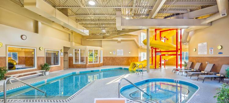 凯艺套房酒店(Quality Inn & Suites)图片