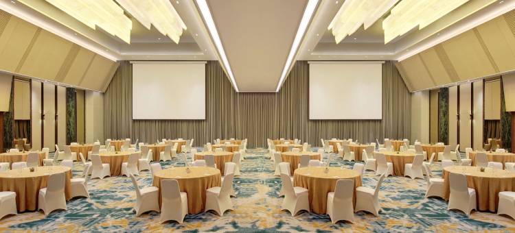 邦卡兰班美居酒店(Mercure Pangkalan Bun)图片