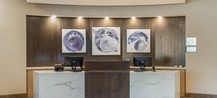 米尔堡坎布里亚酒店(Cambria Hotel Fort Mill)图片