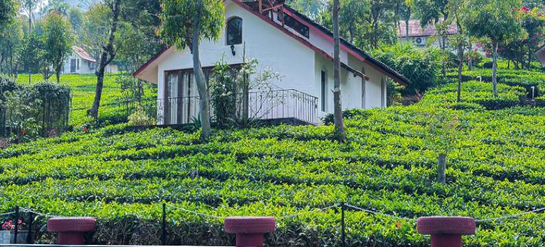 茶台韦提瑞度假村(Tea Terrace Vythiri Resort)图片