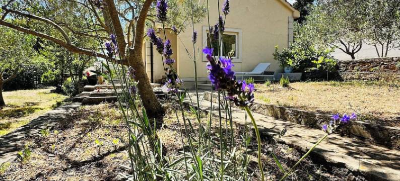 海滩别墅博尔(Beach House Bol)图片