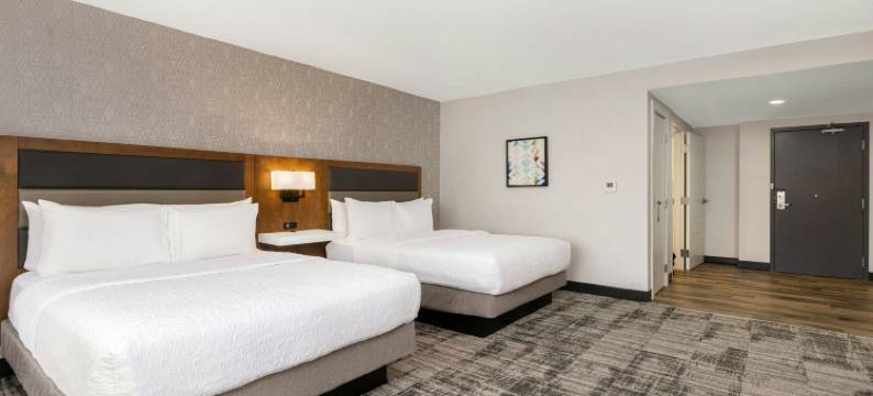 温莎希尔顿欢朋套房酒店(Hampton Inn and Suites by Hilton Windsor)图片