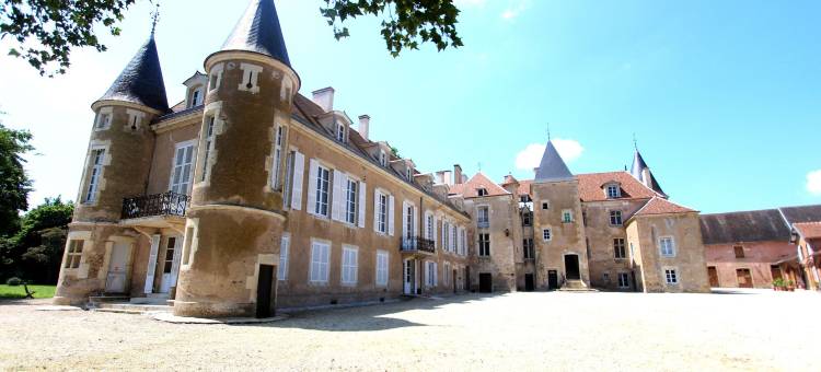 韦泽莱岛屿城堡酒店(Château d'Island Vézelay)图片
