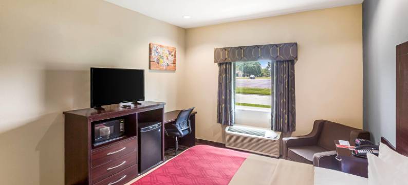 巴吞鲁日大学区 - 伊克诺旅馆(Econo Lodge Baton Rouge University Area)图片