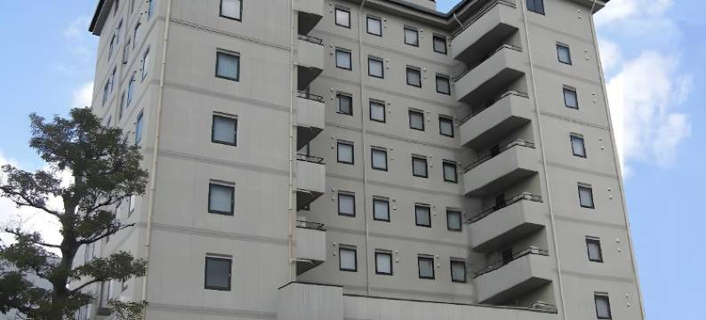 露樱酒店岛田站前店(Hotel Route-Inn Shimada Ekimae)图片