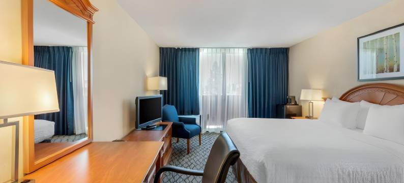 凯隆酒店-阿纳海姆度假村(Clarion Hotel Anaheim Resort)图片