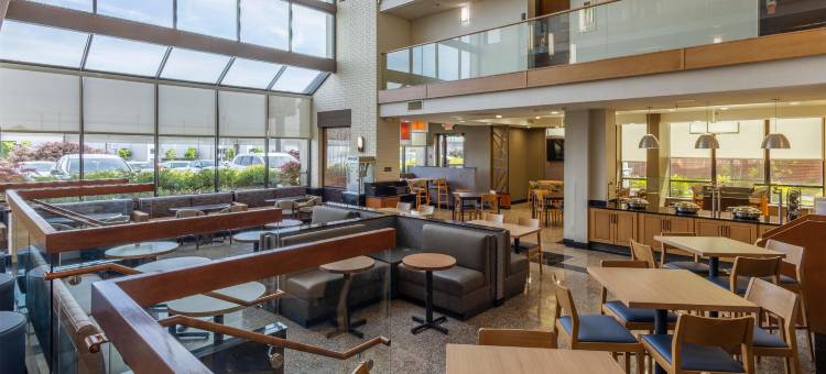 圣路易斯机场德鲁里套房酒店(Drury Inn & Suites St. Louis Airport)图片