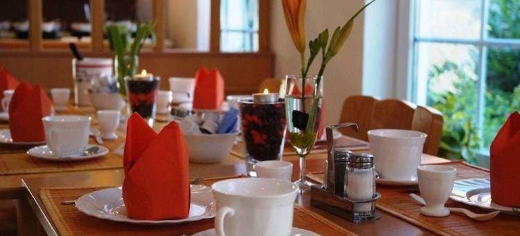 韦尼格罗德普法尔泽霍夫雷吉奥酒店(Regiohotel Pfälzer Hof Wernigerode)图片