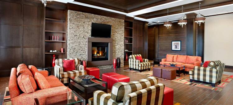 埃德蒙顿机场福朋喜来登酒店(Four Points by Sheraton Edmonton Gateway)图片