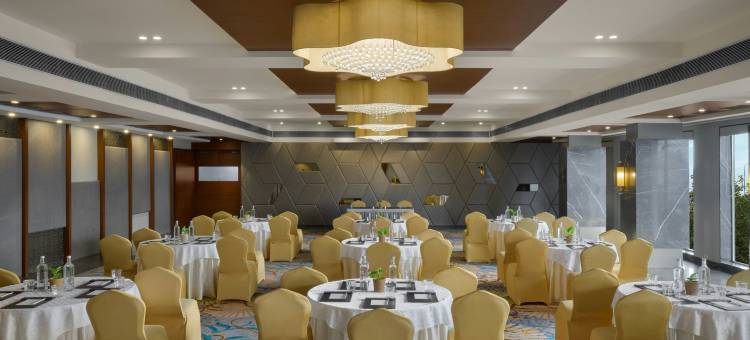 瓦多达拉费恩 - 安伊寇特尔酒店(The Fern Vadodara, Series by Marriott)图片