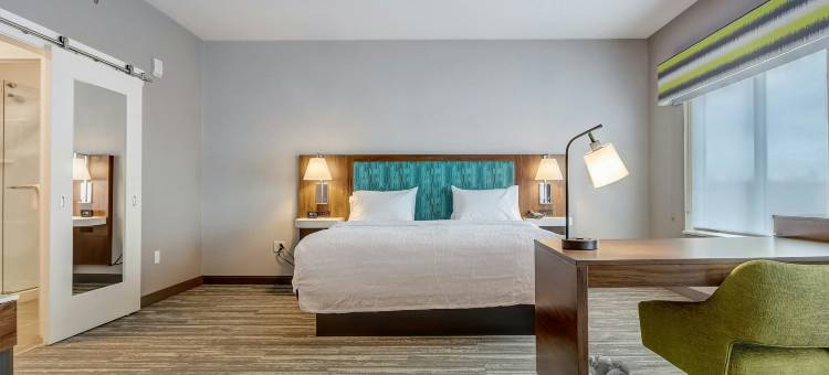 欢朋酒店&套房辛辛那提中城洛克伍德(Hampton Inn and Suites by Hilton Cincinnati Midtown Rookwood)图片