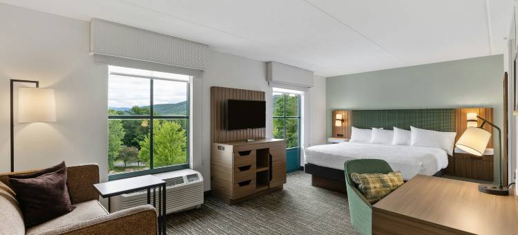 希尔顿欢朋套房酒店-乔治湖(Hampton Inn & Suites Lake George)图片