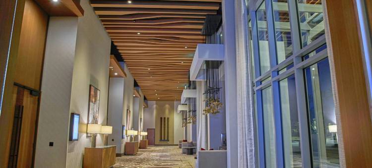 阿纳海姆度假区 JW 万豪酒店(JW Marriott, Anaheim Resort)图片