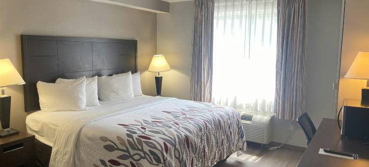 红屋顶酒店-匹兹堡麦克奈特路(Red Roof Inn Pittsburgh - McKnight Rd)图片